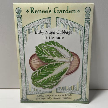 Little Jade Napa Cabbage, F1 Seed